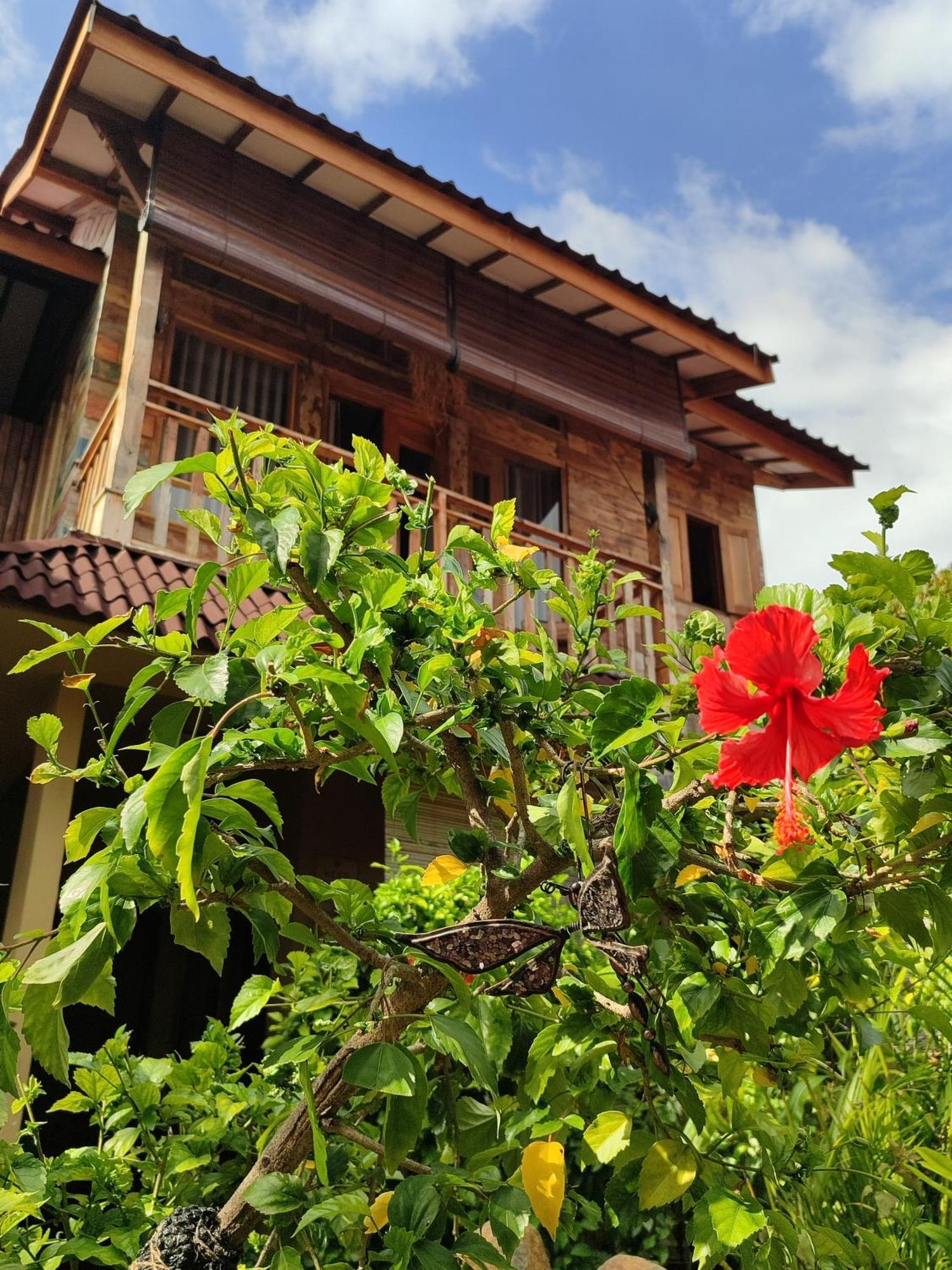 Little Elephant Cottage Gili Trawangan Exterior photo